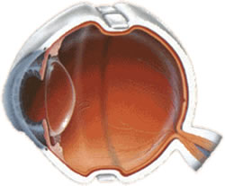 Tratamento Retina